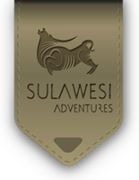 Sulawesi Adventures